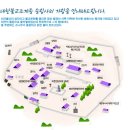 송림사 명부전목조시왕상과 제상 | 대구 근교 팔공산 가을 단풍 명소, 신라시대 고찰 [송림사]