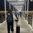 제우스게임장 | 출발 · 하카타항 도착｜배 타고 다녀온 후쿠오카 3박 4일 여행기 ①｜뉴 카멜리아호 특등 2인실 후기