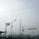 강화벤뎅이 이미지