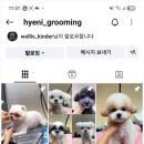 웰리스 동물병원 이미지