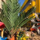 뽈리나어린이집 이미지