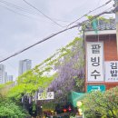 등나무 | [남천동] 부산 등나무꽃 명소 『남천녹차팥빙수』 내돈내산 후기