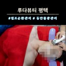 평택 원평동 피부관리 루다뷰티 림프순환관리 후기