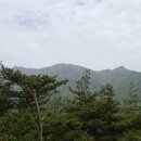 악양면사무소 이미지