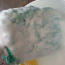 버블가이 이미지