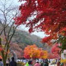 자재암 | 소요산 단풍 나들이 코스 108계단 넘어 자재암까지(feat. 주차)