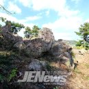 신효동-16 이미지