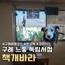 구례 가볼만한곳, 강아지가 반겨주는 감성 독립서점 책개바라 후기