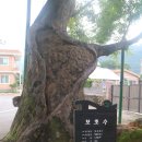 방광회관 이미지