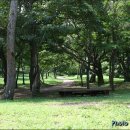 절물자연휴양림 이미지