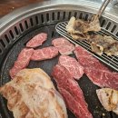 여기야생고기 이미지