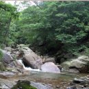 지혜의 소나기 이미지