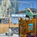 백두목장 영농조합법인 | 12월 국내 겨울 여행지 추천 Best 5