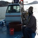 선유도민박 이미지