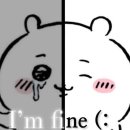 롯데슈퍼곡성점 | 최근 본 것들 후기