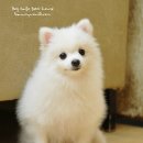 몽글몽글 이미지