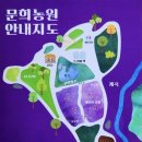 해발 400m 산자락이 온통 보랏빛으로 뒤덮인다니… 6만㎡ 들판 가득 핀 가을 들꽃 명소 이미지