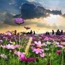 장훈고등학교 내 | 과학고 최종 결과가 아쉬운 아이와 부모님께