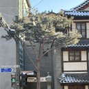 안국선원 | 북촌 어둠속의 대화 후기｜같은 길을 걸었는데, 모두 다른 곳에 있었다｜어둠속의 대화 AtoZ｜서울 체험...