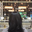 대치2-107 | [대치동미용실] 에코쟈뎅 대치테라스점 클리닉 &amp; 컷트 후기(미미 부원장님)