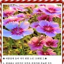 아름답게 늙어 가기 위한 노인 10계명 2. 이미지