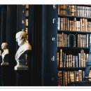 알아두면 유용한 생활 속 법률상식 이미지