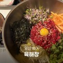 양산범어맛집 육회 비빔밥 맛있는 육해장 ft.소주안주