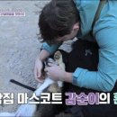 산골마을 민박 이미지