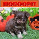 모두와샵 이미지