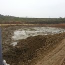 미류네 농장 이미지