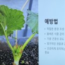 남강한주아파트경로당 | 반려식물지도사과정 4회차, 사람의 성격에 따라 기르는 식물도 다르다?