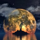 소원유치원 이미지