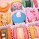 강남-295 이미지