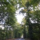 골드렌트카 이미지