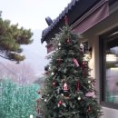 스테이한유 이미지