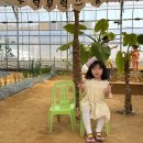 (용인) 아이랑 주말에 가볼만한 곳 “무럭무럭농장” - 실내 동물원, 동물체험, 동물먹이주기