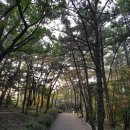 아름다운 경승지 다대포 몰운대 / 부산 가볼만한 곳