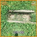 진주 초장1지구 도시개발사업지구 내 유적 이미지