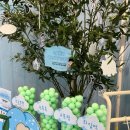 강남에스라인 | 올리브영 4월올영픽 에스네이처 수분크림 세럼 마스크팩 올리브영강남타운점 에스네이처 팝업 후기