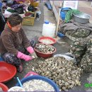 5일시장(어물전) 이미지