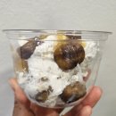 용산 그릭요거트 오거트 용산점 밤그릭요거트 내돈내산 솔직후기