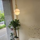 아뜰리에 멍 이미지