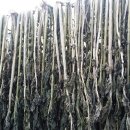 판산골농장 이미지