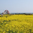 호미곶관광단지 이미지