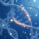 CW-1689-01 이미지