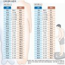 나이별 표준키/어린이표준신장표 /소아표준발육표 이미지