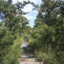 이화산등산로 이미지