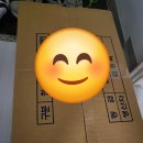 으뜸농장 | 농라 으뜸농장 청상추4키로 후기