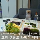 포항사랑실천의집 | 포항 구룡포 과메기 야채세트 포장 가격과 후기