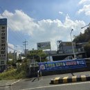 대구 매천시장 전어회와 강도다리회 먹고, 장어와 산낙지 포장 후기